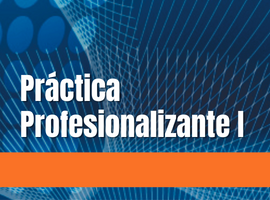 Práctica Profesionalizante I 2026