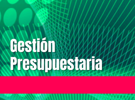 Gestión Presupuestaria 2026