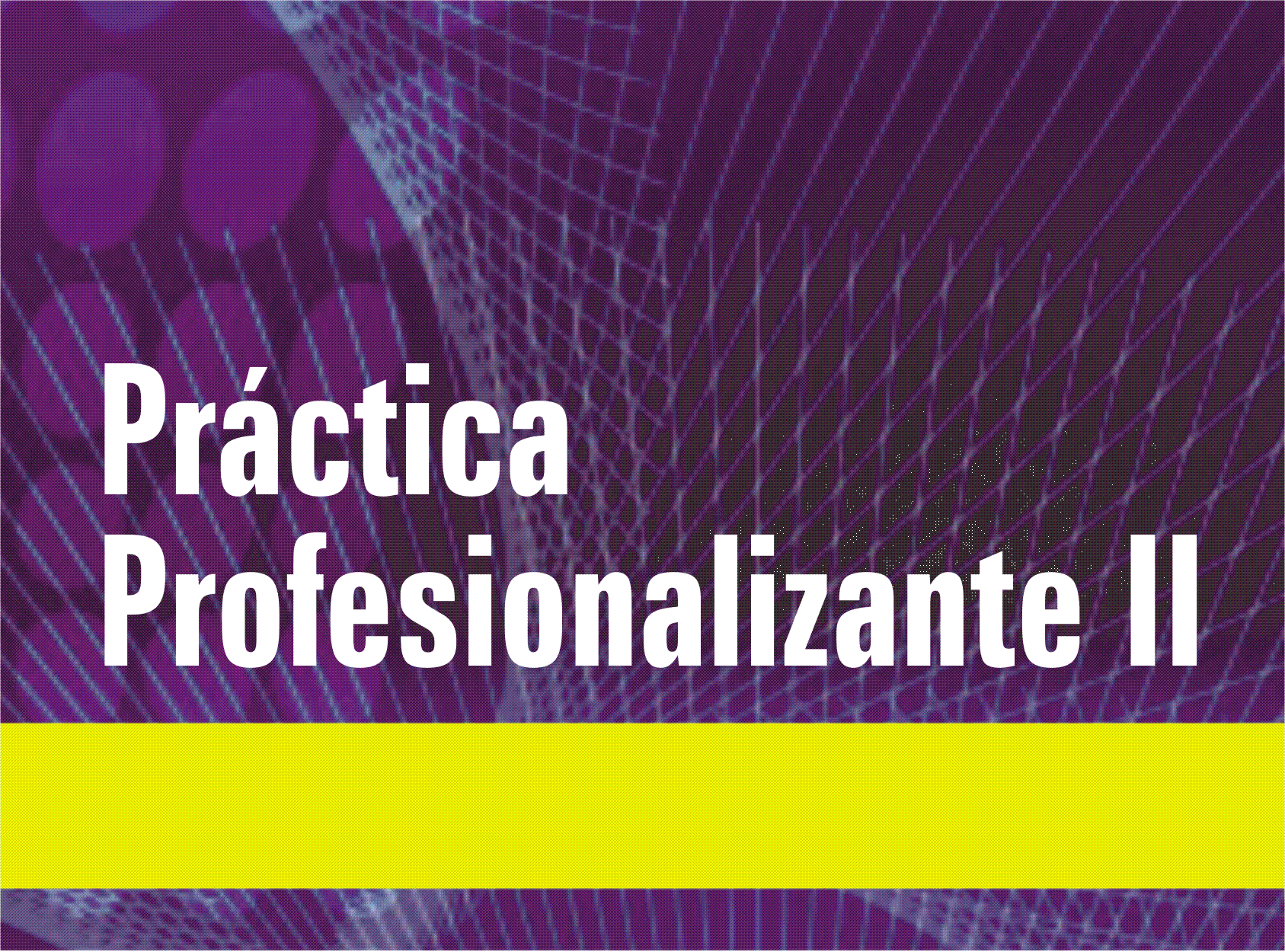 Práctica Profesionalizante II 2026-2