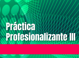 Práctica Profesionalizante III 2024