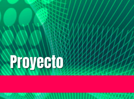 Formulación y Evaluación de Proyectos 2025